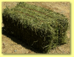 Hay by the Bale